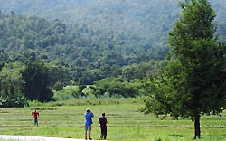 Birdwatching Chiang Mai Thailand